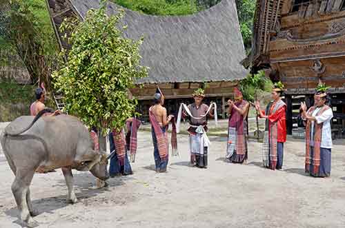 welcome batak-AsiaPhotoStock