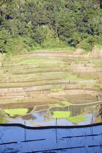 road to hapao-AsiaPhotoStock