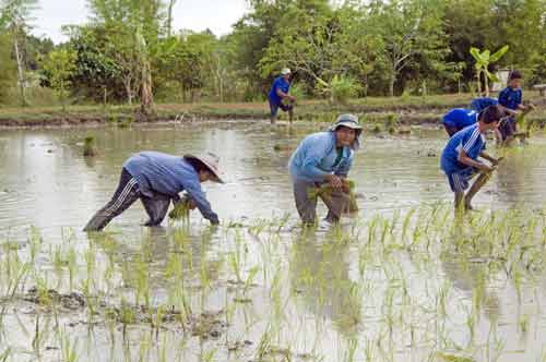 wet work-AsiaPhotoStock