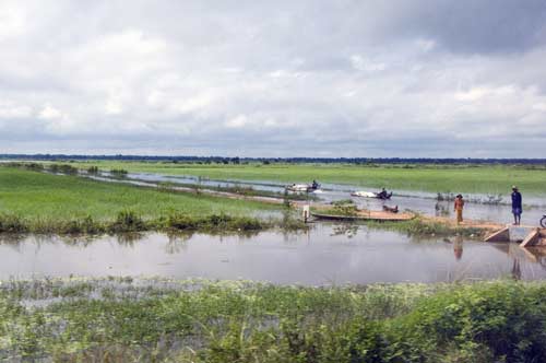 wetlands-asia photo stock