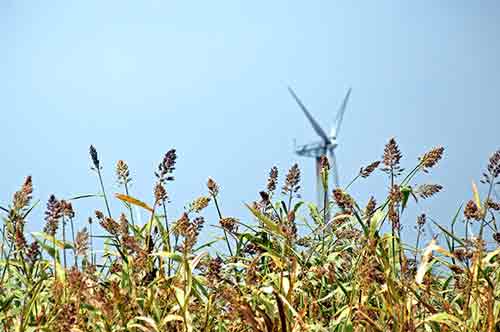 windmill kerala-AsiaPhotoStock