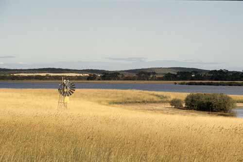 windmill-AsiaPhotoStock