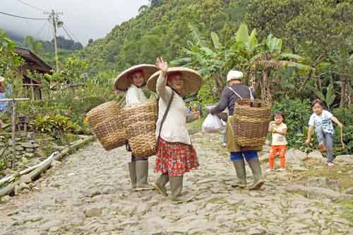 workers plantation-AsiaPhotoStock