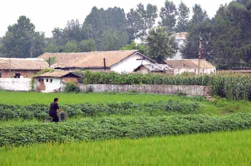 workers village-AsiaPhotoStock