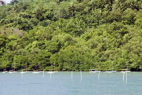 yachts puerto galera-AsiaPhotoStock