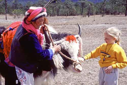 yak and tourist-AsiaPhotoStock