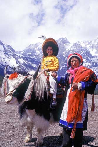 tourist yaks-AsiaPhotoStock