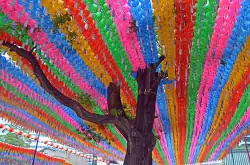 jogyesa temple-AsiaPhotoStock