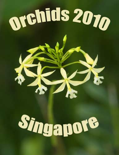 Orchids 2010 calendar-AsiaPhotoStock