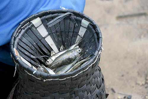 fish offering-AsiaPhotoStock