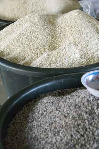 grain-AsiaPhotoStock