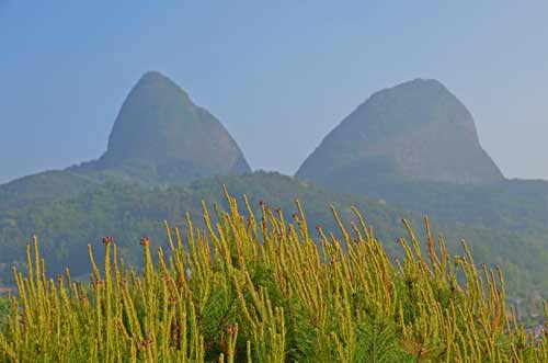 horses ears-AsiaPhotoStock