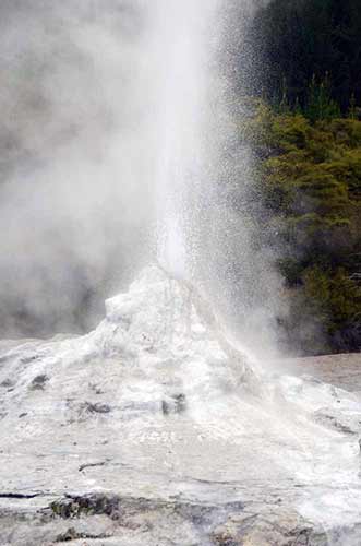 lady knox wai o tapu-AsiaPhotoStock