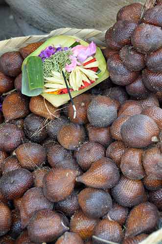 salek in bali-AsiaPhotoStock