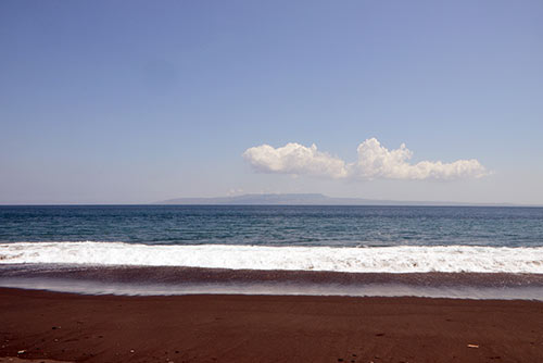 sea at bat cave-AsiaPhotoStock